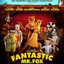 Fantastic Mr. Fox on Random Best Meryl Streep Movies