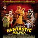 Fantastic Mr. Fox on Random Best George Clooney Movies