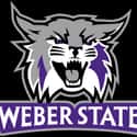 Weber State Wildcats men's basketball on Random Best Big Sky Basketball Teams