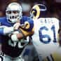Shelton Robinson is listed (or ranked) 38 on the list The Best Detroit Lions Linebackers of All Time