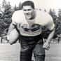 Joe Francis is listed (or ranked) 47 on the list The Best Green Bay Packers Quarterbacks of All Time