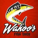 Wahoo's Fish Taco on Random Best Mexican Restaurant Chains