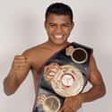 Román Alberto González Luna is an undefeated Nicaraguan professional boxer who is the current WBC and The Ring Flyweight champion, as well as a former WBA Light Flyweight champion...