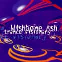 Trance Visionary on Random Best Wishbone Ash Albums
