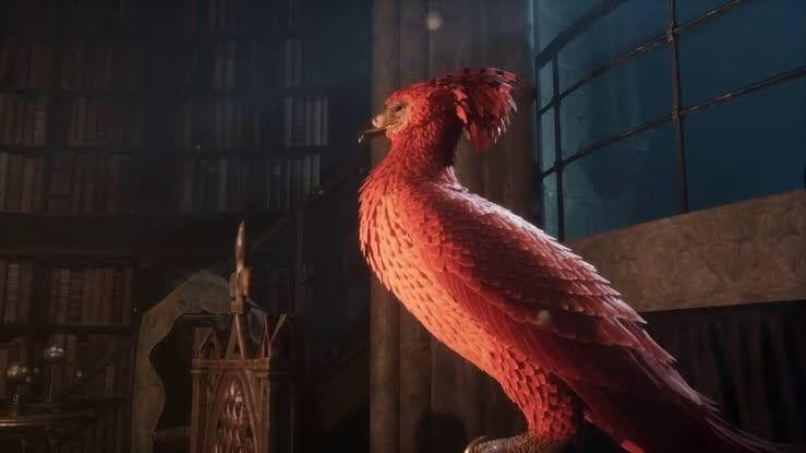All The Harry Potter Pets, Ranked