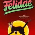 Felidae on Random Best Cat Movies