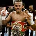 Félix Trinidad on Random Best Welterweight Boxers