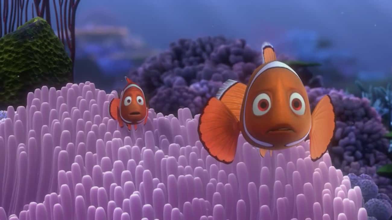 The Anemone Scene In 'Finding Nemo' 