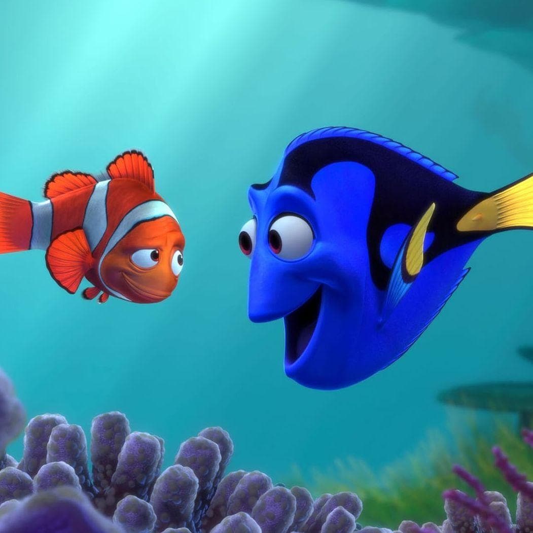 Finding Nemo