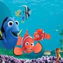 Finding Nemo on Random Best Movies Roger Ebert Gave Four Stars