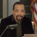 Fin Tutuola on Random Popular TV Characters Who Weren't Even Supposed To Exist