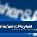 Fisher & Paykel on Random Best Refrigerator Brands