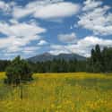Flagstaff on Random Best US Cities for Nature Lovers