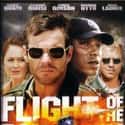 Flight of the Phoenix on Random Best Action & Adventure Movies Set in the Desert