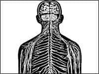 Best RadioLab Episodes List of Radio Lab Podcasts