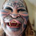 Stalking Cat on Random Celebrities Who Are Open About Their Plastic Surgery