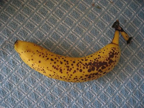 Banana Facts 10 Most Amazing Facts About Bananas