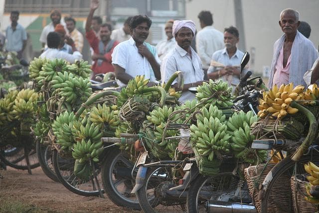 Banana Facts 10 Most Amazing Facts About Bananas