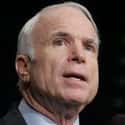 That's not too important. What's important is the casualties. on Random Hilarious McCain-isms: Funny John Mccain Quotes