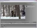 HD Suite on Random Video Editing Softwa