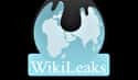 Wikileaks vs. The U.S. Government on Random Bloodiest Social Media Battles
