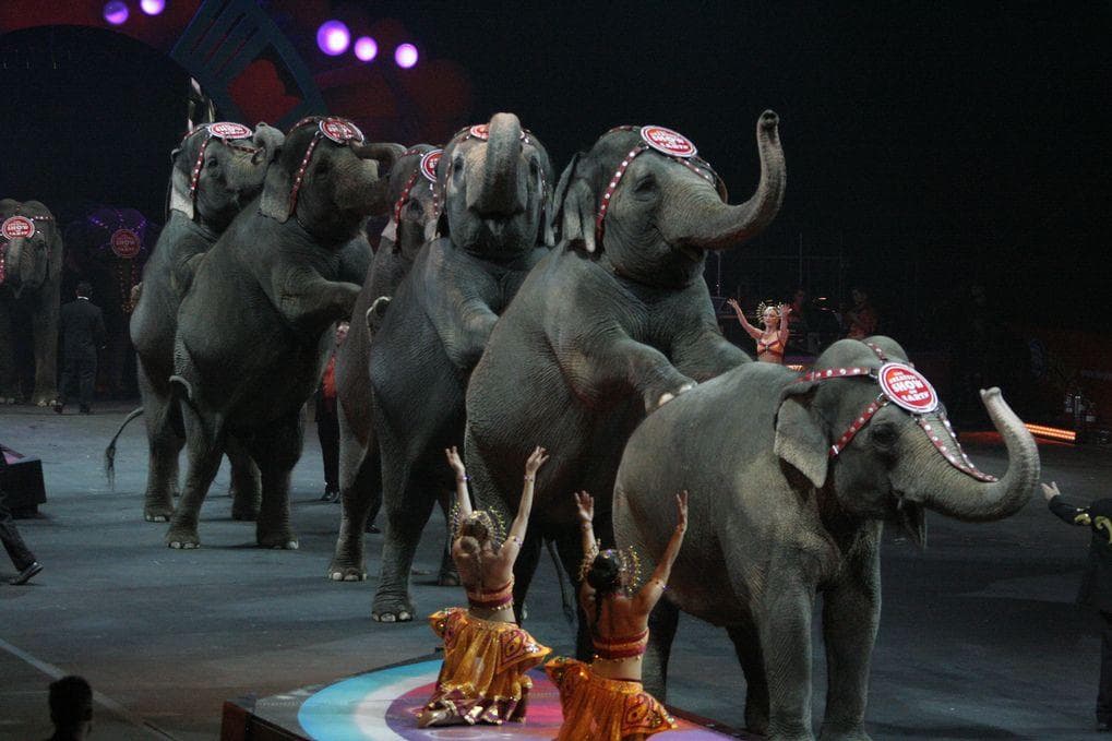 College Hazing Stories List of Worst Hazing Rituals