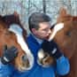 Colon Perforated by a Horse is listed (or ranked) 37 on the list The Worst Ways to Die