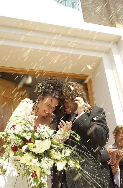 Animal Myths The Top 10 Untrue Myths About Animals