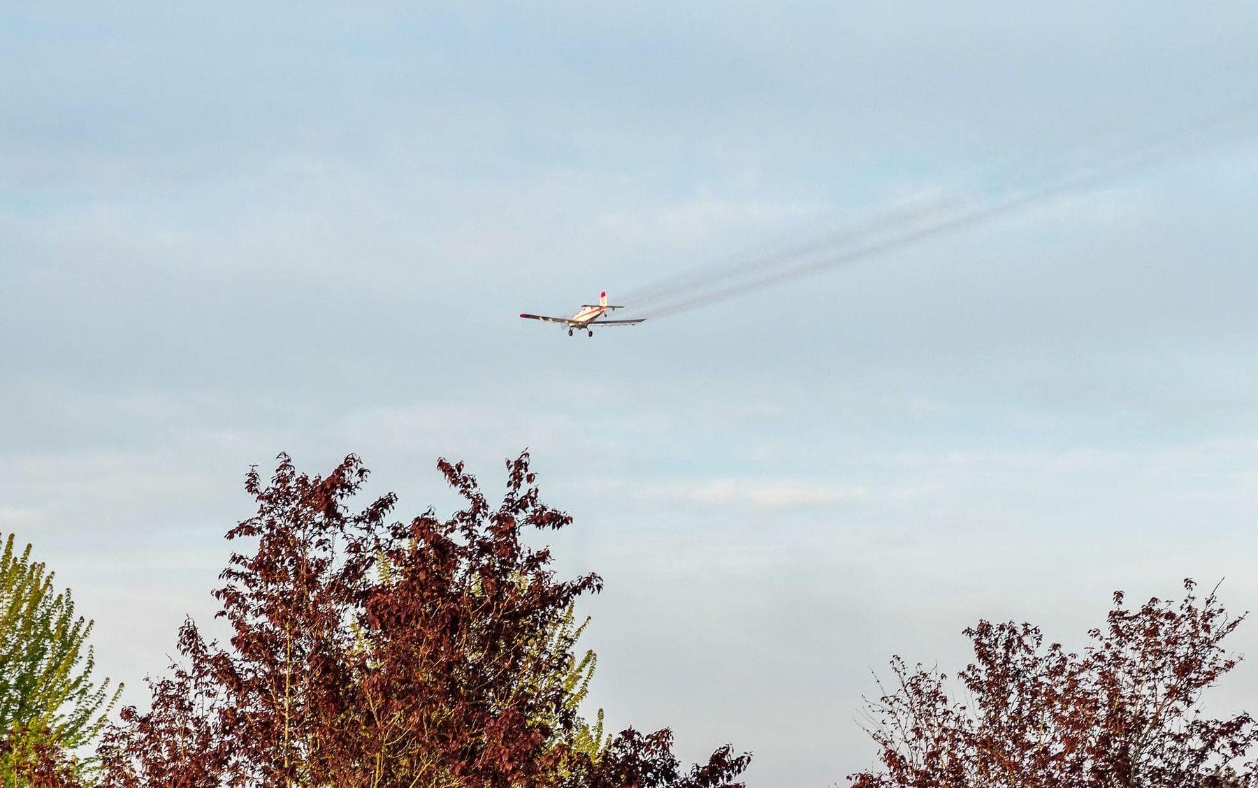 The US Government Approved Spraying Deadly Chemicals Over American Cities