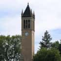 The Campanile on Random Things To Do With Kids In California's East Bay