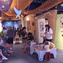 Habitot Children's Museum on Random Things To Do With Kids In California's East Bay