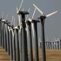Wind Farms of Altamont Pass on Random Things To Do With Kids In California's East Bay