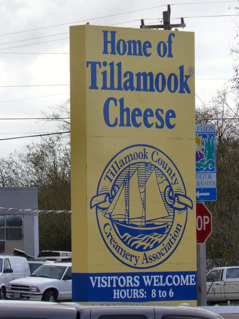 Factory Tours for Kids Companies That Give Tours