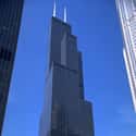 Sears Tower on Random Best Things To Do In Chicago