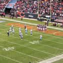 Bears Game on Random Best Things To Do In Chicago