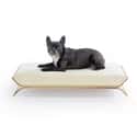 Gold-Threaded Pet Mattress on Random Most Insane Pet Products for Crazy Owners