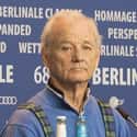 Bill Murray Surprise Bartends At Shangri-La During SXSW on Random Greatest Bill Murray Stories Ever Told