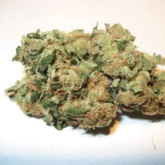 Best Sativa Strains | List Of Top Sativas, Ranked