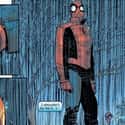 Spider-Man's Final Costume on Random Greatest Spider-Man Costumes