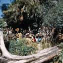 Jungle Cruise: The Natives Love Disco? on Random Coolest Secrets of the Disney Parks