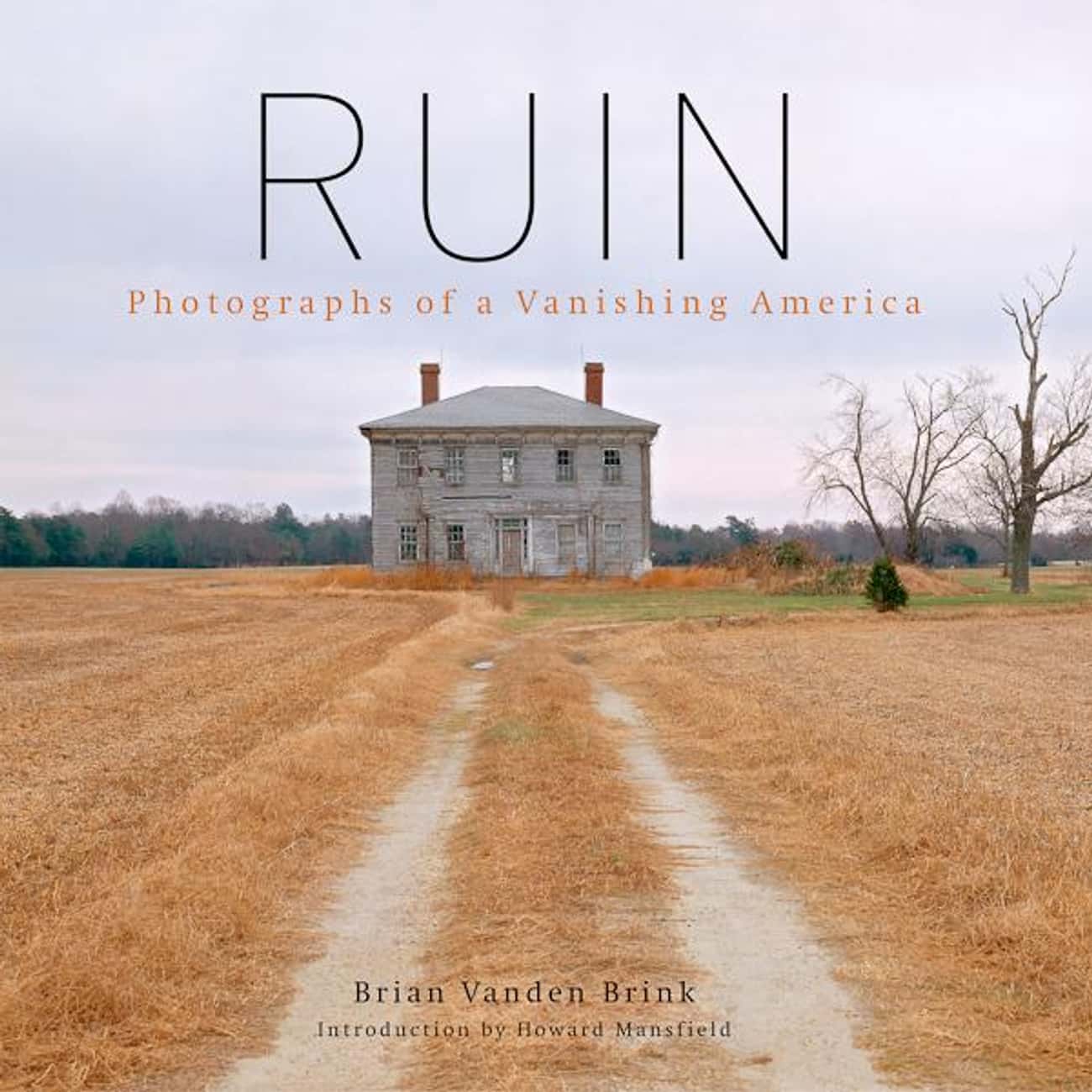 Ruin: Photographs of a Vanishing America by Brian Vanden Brink