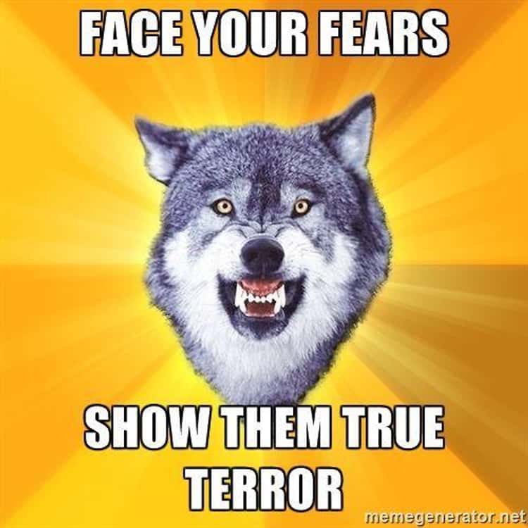 courage wolf meme