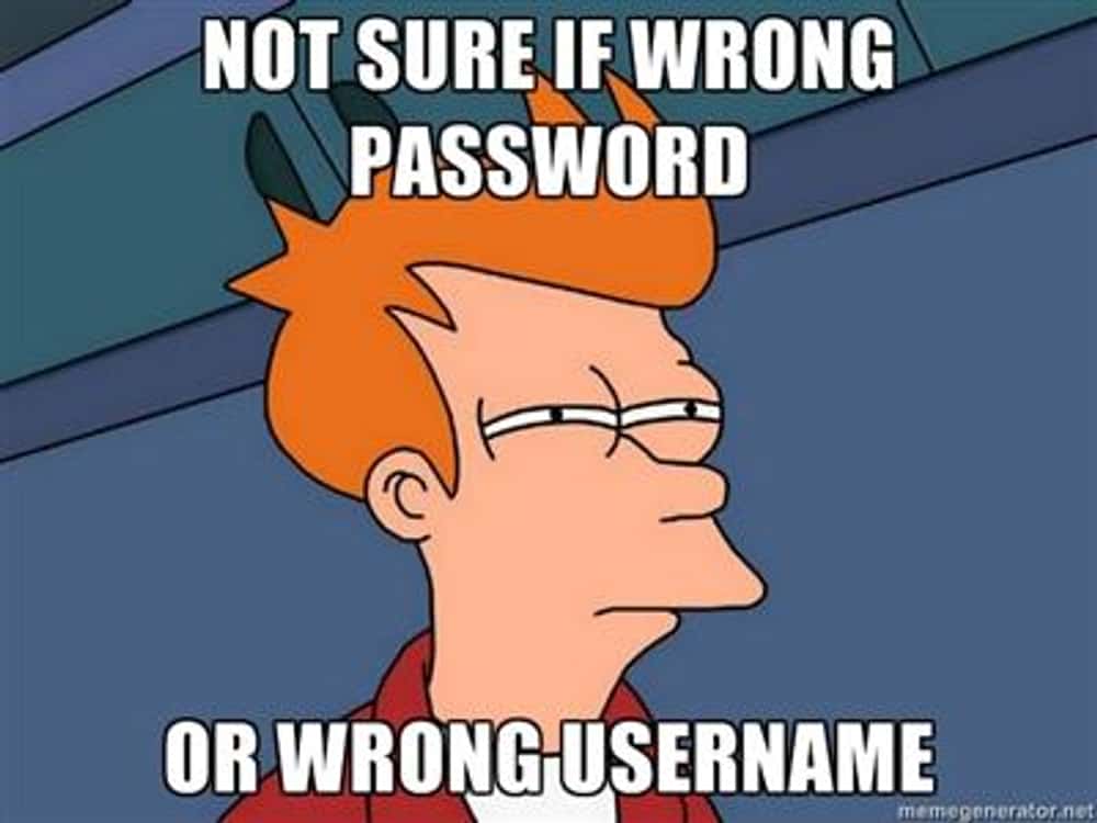 Fry on Internet Logins