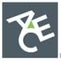 ACE Limited is listed (or ranked) 4 on the list All S&P 500 Companies