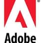 Adobe Systems Inc is listed (or ranked) 5 on the list All S&P 500 Companies