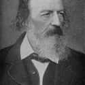 Alfred Tennyson, 1st Baron Tennyson on Random Famous People Buried at Westminster Abbey