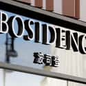 Bosideng on Random Top Chinese Manufacturing Companies