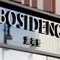 Bosideng on Random Top Chinese Manufacturing Companies