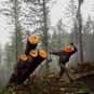 Logger is listed (or ranked) 2 on the list The Most Dangerous Jobs in America