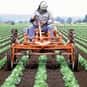 Farmer/Rancher is listed (or ranked) 4 on the list The Most Dangerous Jobs in America
